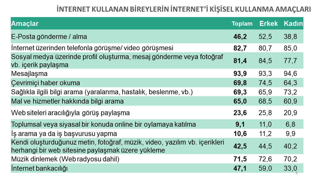 İnternet Kullanım İstatistikleri 6